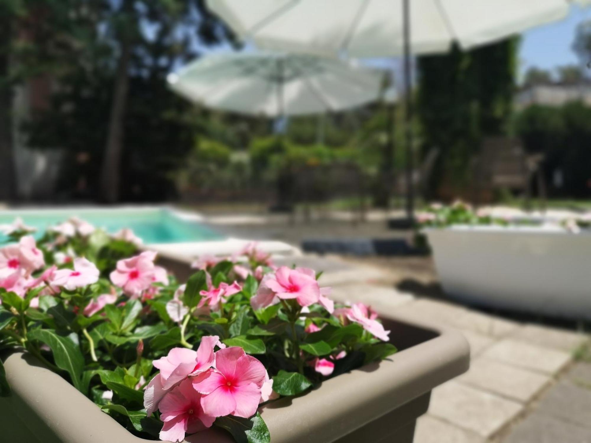 Oasi Park Hotel Mascali Bagian luar foto